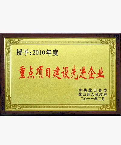 المشاريع الرئيسية المشاريع المتقدمة