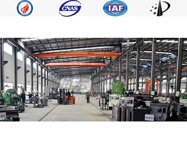 شوينغ230 ارتداء لوحة (فراشة plate)